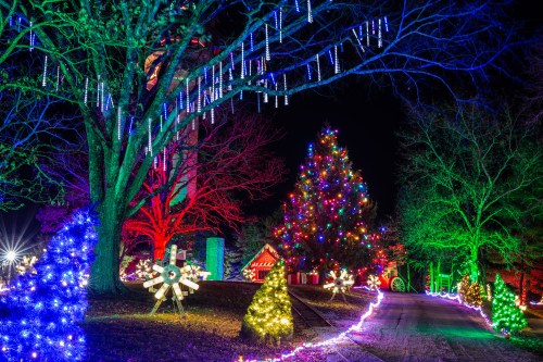 Colorful holiday lights illuminate trees and a large Christmas tree along a festive pathway at night.