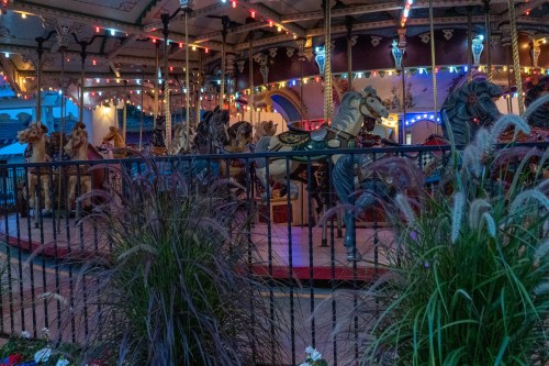 A vintage carousel with ornate horses, illuminated by colorful lights, surrounded by tall grass and flowers at dusk.
