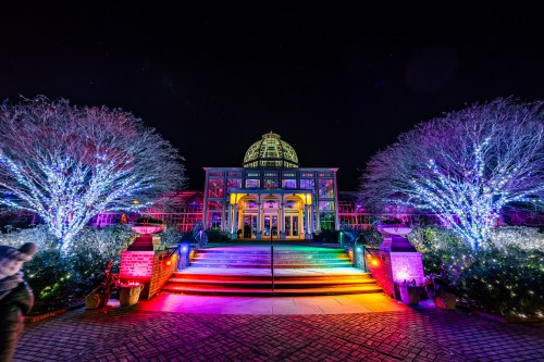 A beautifully lit conservatory at night, surrounded by colorful lights on trees and a vibrant pathway.