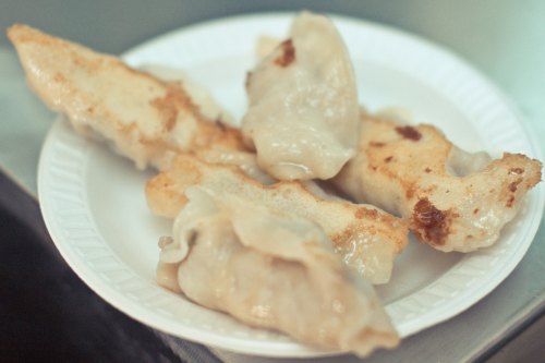 A plate with several golden-brown dumplings, some pan-fried, arranged on a white paper plate.