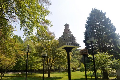 Colorful birdhouses on tall poles surrounded by trees in a sunny park setting.