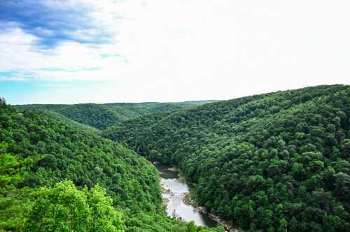 An overlook of the mountainous terrain with the Big South Fork River flowing through the lush green wilderness.