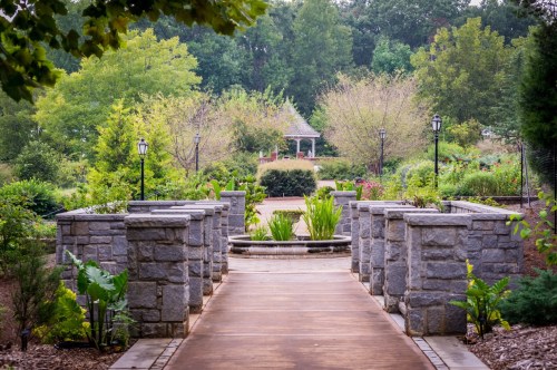 A beautiful garden with a paved walkway and stunning rock wall cutouts with lush green plants everywhere you look.