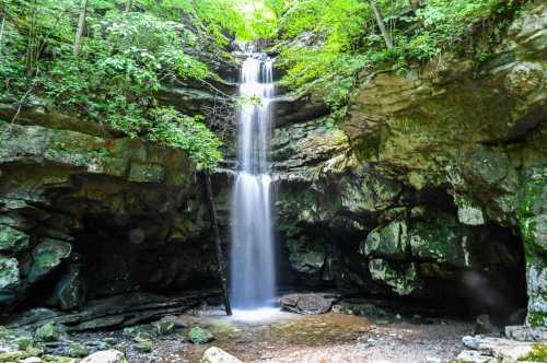 The plunging water of Lost Creek Falls among cavernous rock formations.