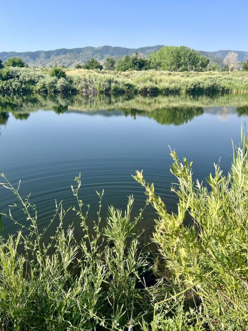A serene river scene with calm water reflecting greenery and mountains under a clear blue sky.