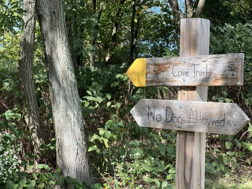 Wooden signpost in a forest, pointing to "Cove Trail" and indicating "No Dogs Allowed." Green foliage in the background.