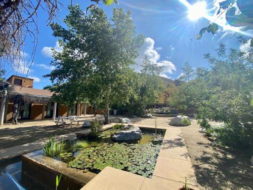 A serene outdoor space with a pond, lily pads, trees, and sunlight filtering through clouds.