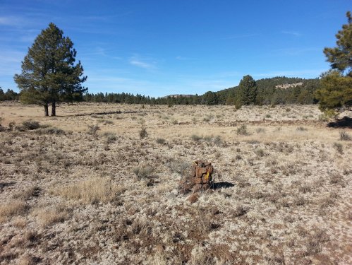 A wide, open landscape with sparse vegetation, a tree in the background, and a weathered stump in the foreground.