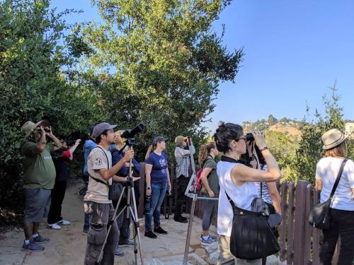 A group of people observing nature with binoculars and cameras, surrounded by greenery on a sunny day.