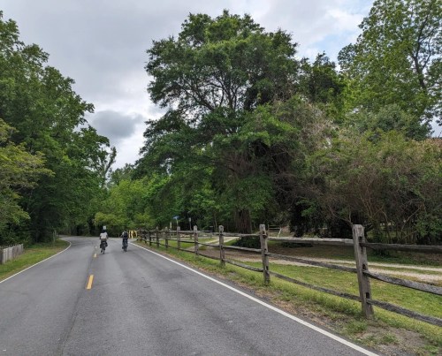 Two cyclists ride along a quiet road lined with trees and a wooden fence, with greenery on either side.