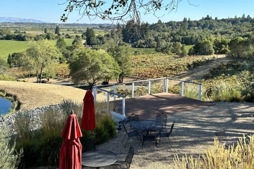 A scenic view of a vineyard with a wooden deck, tables, and red umbrellas under a clear blue sky.