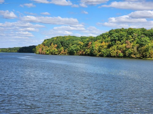 A serene river scene with lush green trees and hints of autumn colors under a blue sky with fluffy clouds.