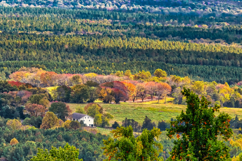 View from Carter Mountain Overlook in Virginia