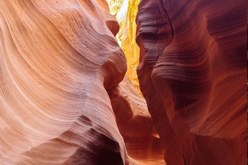 A narrow canyon with smooth, wavy red rock walls illuminated by warm sunlight.