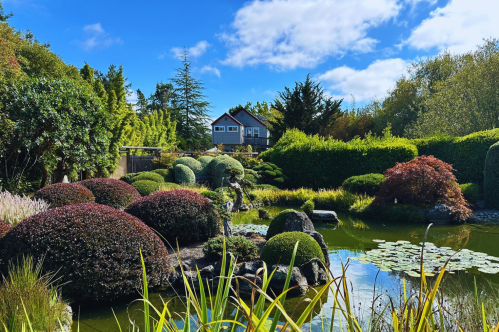 A serene garden with lush greenery, rounded shrubs, a pond with lily pads, and a house in the background under a blue sky.