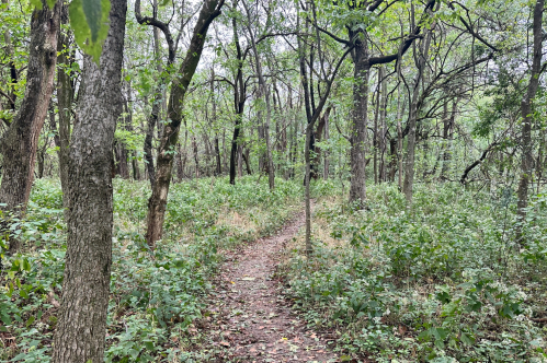 Hiking trail at the Louisville Nature Center in Louisville, Kentucky