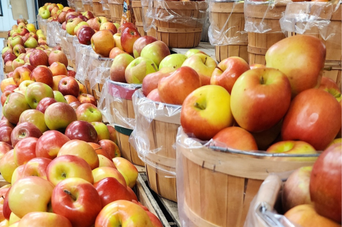 Baskets filled with a variety of colorful apples arranged neatly in a market setting.