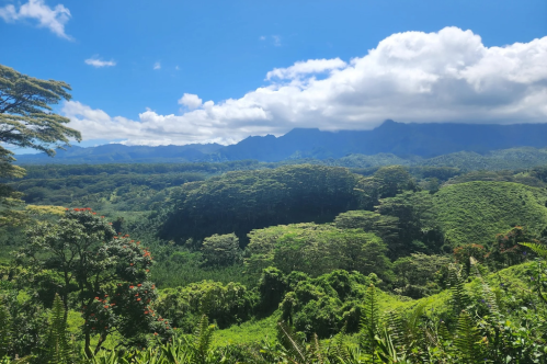 Lush green landscape with rolling hills, dense forests, and mountains under a bright blue sky with fluffy clouds.