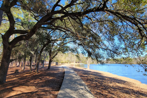 A serene lakeside path lined with trees, featuring clear blue skies and calm water.