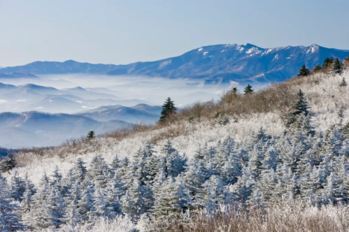 Snow-covered trees in the foreground with misty mountains and a clear blue sky in the background.