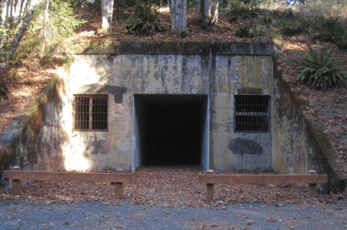 An old, weathered concrete bunker entrance surrounded by trees and fallen leaves, with barred windows on either side.