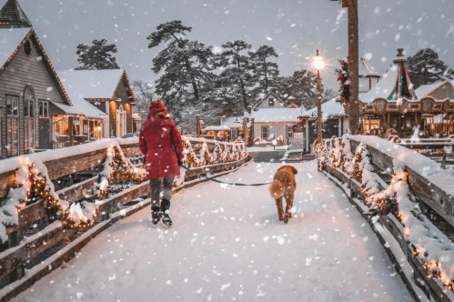 A person in a red coat walks a dog on a snowy path, surrounded by festive lights and winter scenery.