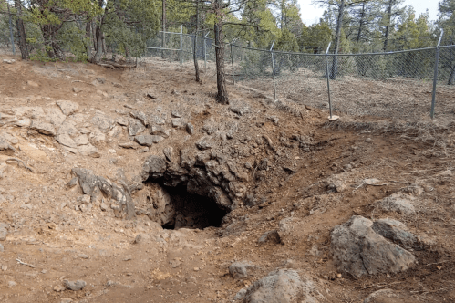A rocky entrance to a cave surrounded by trees and a fenced area in a natural landscape.