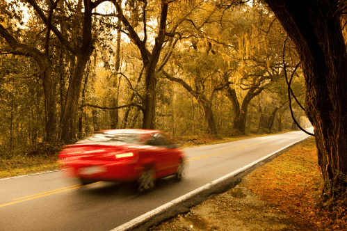 A red car speeds down a tree-lined road, surrounded by autumn foliage and soft, golden light.