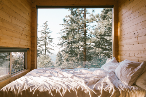 Cozy wooden bedroom with a large window showcasing tall trees and a serene outdoor view.