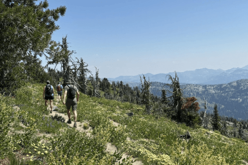 Three hikers walking on a trail through a lush, green landscape with mountains in the background under a clear blue sky.