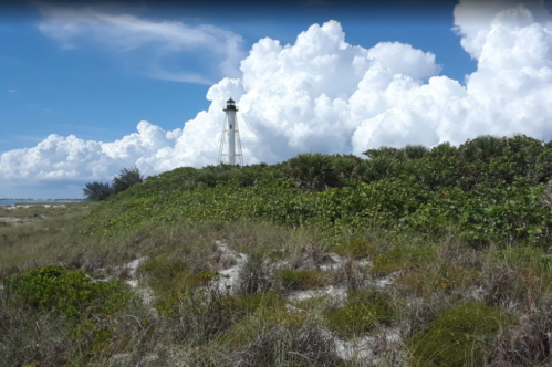A lighthouse stands amidst lush greenery and sandy dunes under a bright blue sky with fluffy white clouds.