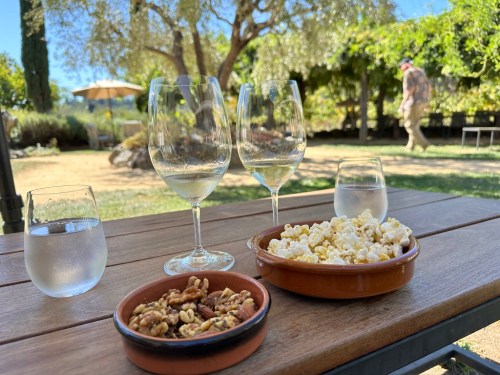 A table with two wine glasses, a bowl of popcorn, and a bowl of nuts, set in a sunny outdoor garden.