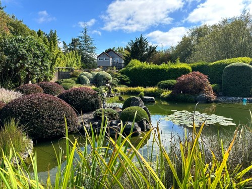 A serene garden with rounded shrubs, a pond with lily pads, and a house in the background under a blue sky.