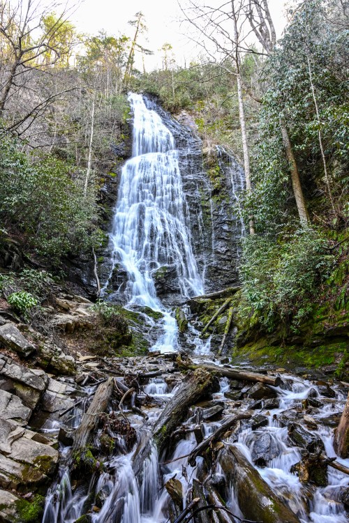 A cascading waterfall flows down rocky terrain, surrounded by lush greenery and fallen logs.