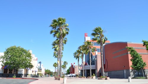 A sunny street lined with palm trees, leading to modern buildings against a clear blue sky.
