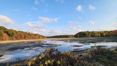 A serene landscape featuring a calm lake surrounded by colorful autumn foliage under a blue sky with scattered clouds.