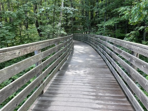 A winding wooden boardwalk through a lush green forest, surrounded by trees and foliage.