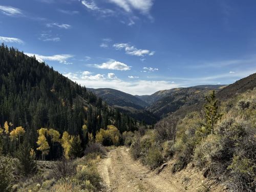 A dirt path winds through a valley surrounded by mountains and trees, with autumn foliage under a blue sky.