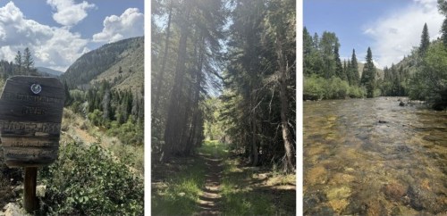 Three images: a trail sign, a sunlit forest path, and a clear river flowing through trees.