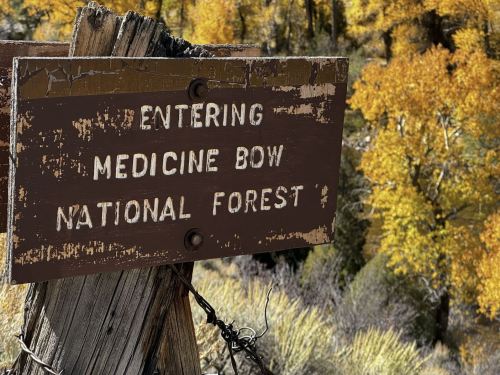 A weathered sign reading "Entering Medicine Bow National Forest" with vibrant autumn foliage in the background.