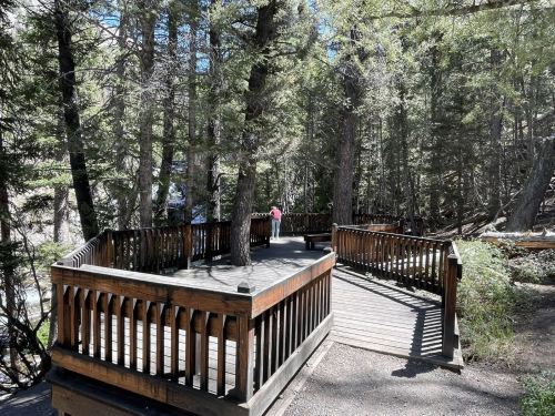 A wooden observation deck surrounded by trees, with a person in a pink shirt standing at the far end.