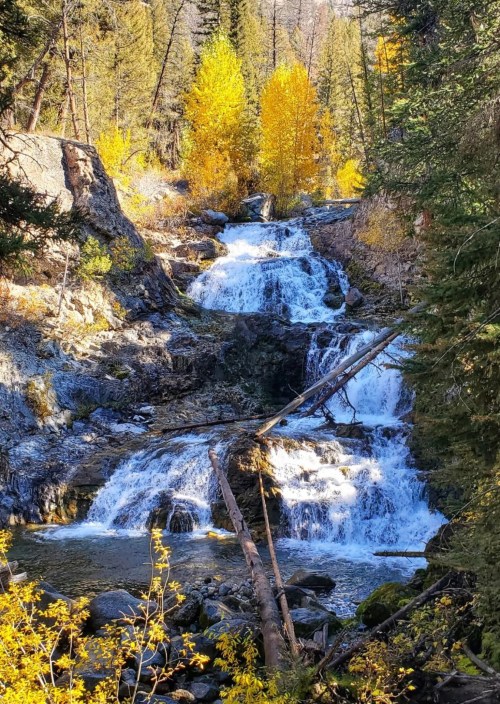 A serene waterfall cascades over rocks, surrounded by vibrant autumn foliage and tall trees.