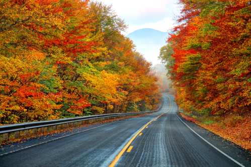 A winding road surrounded by vibrant autumn foliage in shades of red, orange, and yellow.