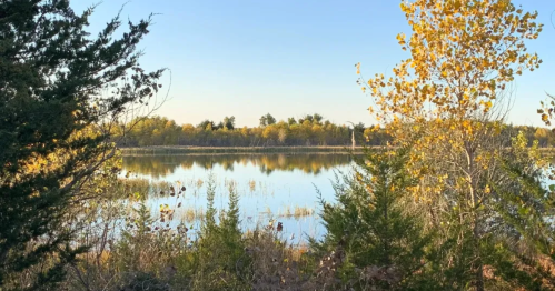 A serene landscape featuring a calm lake surrounded by trees with autumn foliage under a clear blue sky.