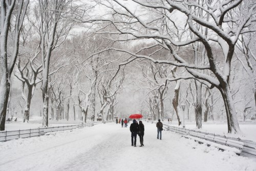 Two people walk under a red umbrella in a snowy park, surrounded by bare trees and a serene winter landscape.