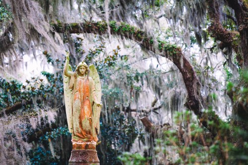 A weathered angel statue stands amidst lush greenery and hanging moss in a serene outdoor setting.