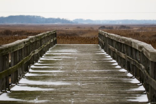 A wooden pier extends into a marshy landscape, with snow on the planks and a gray sky overhead.