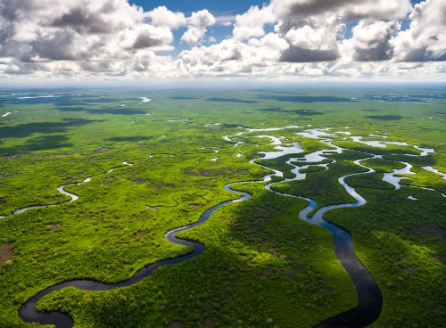 Aerial view of lush green wetlands with winding rivers and a cloudy blue sky above.