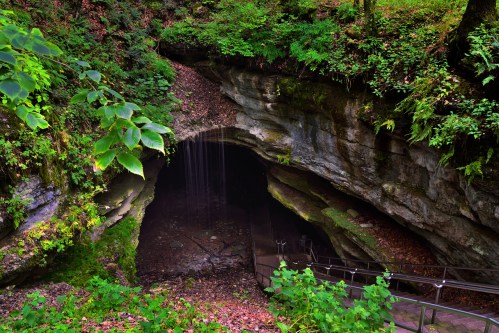 A lush, green forest surrounds a cave entrance with a gentle waterfall and stone steps leading inside.