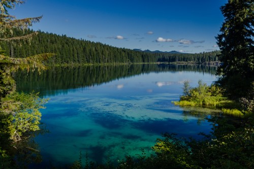 A serene lake surrounded by lush green trees and mountains under a clear blue sky. Reflections shimmer on the water's surface.